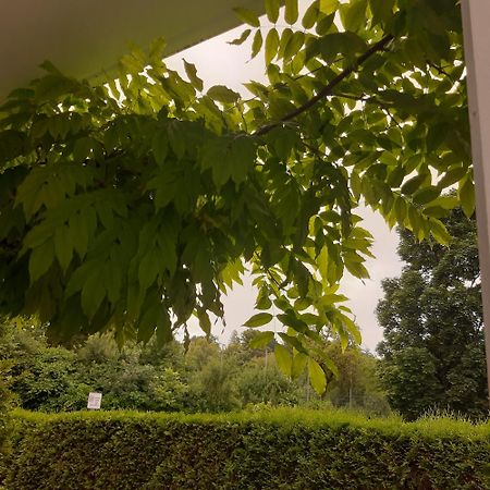 City Apartment Tuebingen-Lustnau Eksteriør billede