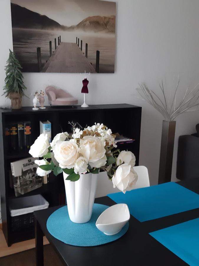 City Apartment Tuebingen-Lustnau Eksteriør billede